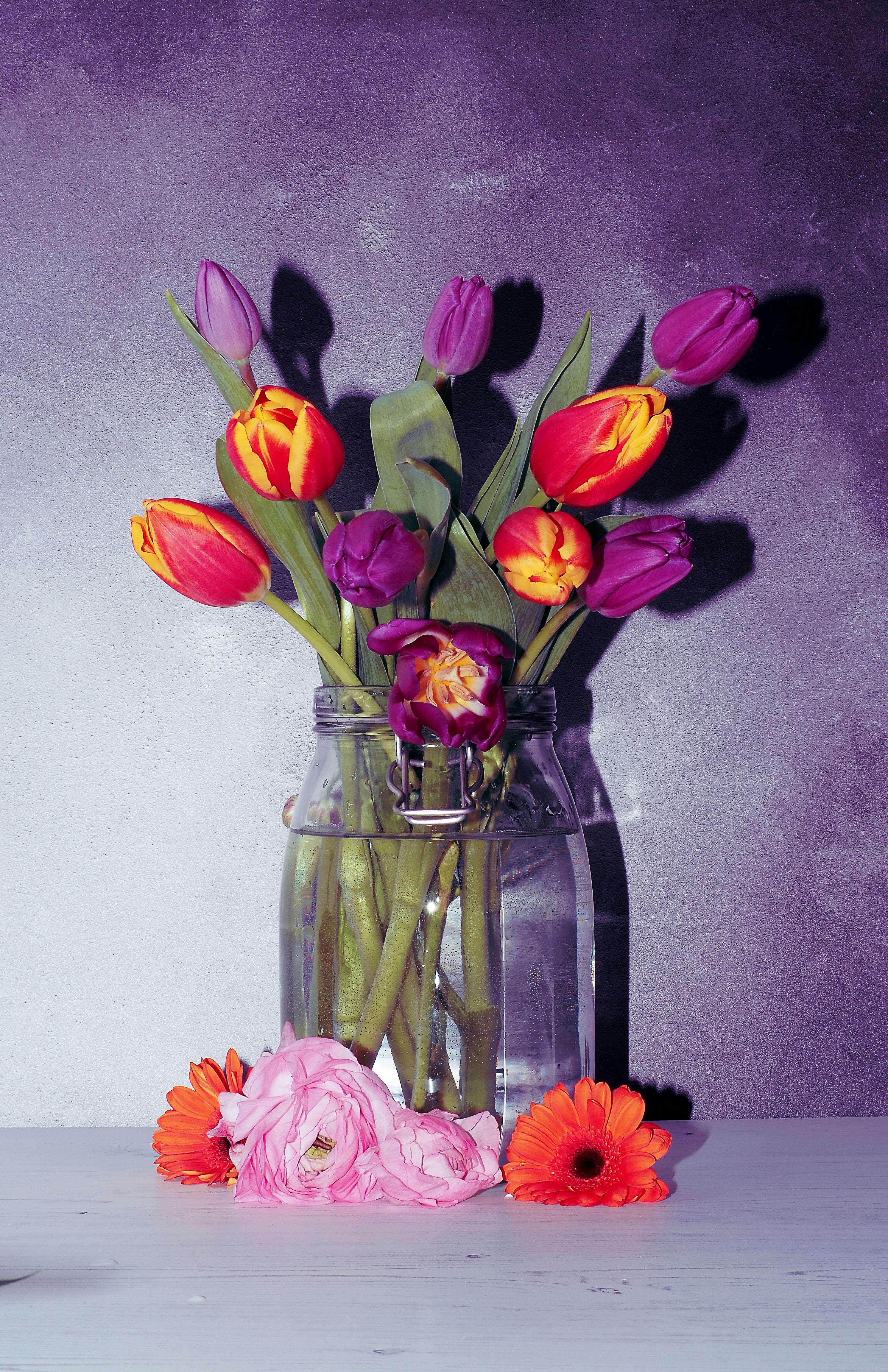 Bespoke digital art for personalized creative expressions and projects.